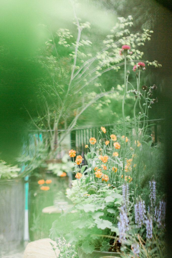 Rona Wheeldon My Midlife Story Flowerona RHS Chelsea Flower Show 2023 | Emma Tipping The St George Alight Here Balcony Garden