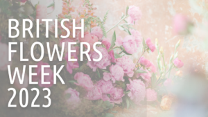 British Flowers Week 2023